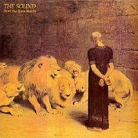 The Sound : From the Lion's Mouth